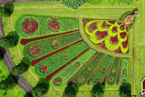 Landscape Architect and Garden Design